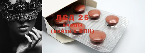 индика Краснотурьинск